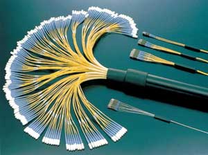 Bunched Optical Fiber Fan-Out Patch Cords