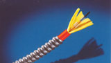 Armored indoor optical fiber cable GJFJVG, 2-24 fibers